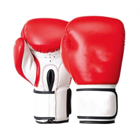 Pro Boxing Gloves