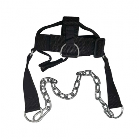 Head Harness